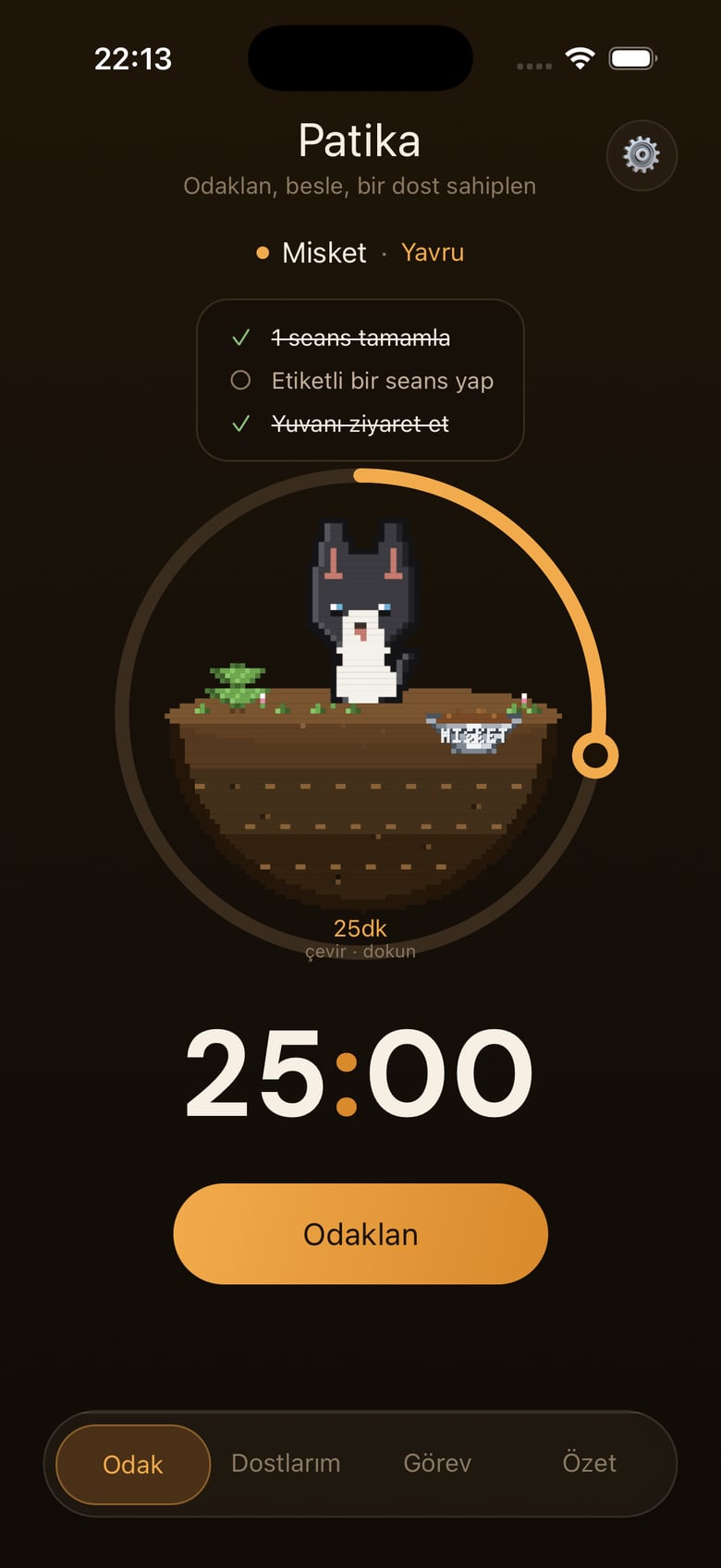 Patika — 2